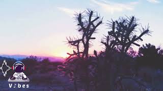 Squid Ethics • Just A Ride