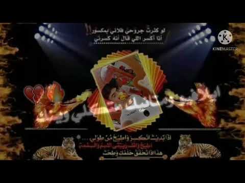 ايلافيو احبك ليش ايلافيو كلش ايلافيو صار سنين نص الكلب ديش