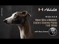 Never Miss a Moment: Capture Stunning Photos from Videos | Webinar with Ross Grieve