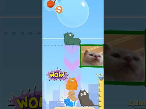 Cat Stack - 7.4 meters - Gameplay Walkthrough (iOS u0026 Android) #shorts #games #funny