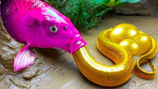NEWFish Videos❤️Stop Motion Fish Magnet Catching Fishing Satisfying Octopus Carp Pink Eel