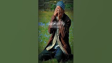 #اسلام_صبحي #islamicvideo #اكسبلور #المصحف #تلاوة_خاشعة_تلاوة_هادئة_تلاوة