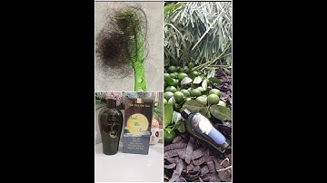 Revew dầu gội dân gian thanh mộc hương có hết rụng tóc không?