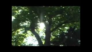 Zard   tsubasa wo hirogete