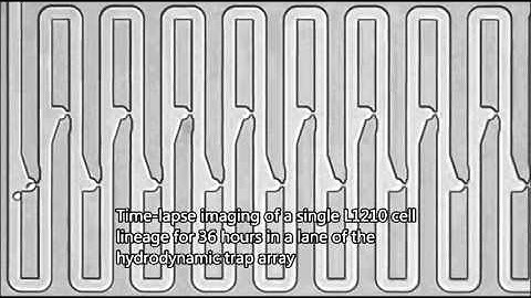 A microfluidic platform enabling single-cell RNA-seq of multigenerational lineages