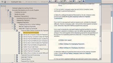 SAP Automatic Payment Run  Configuration