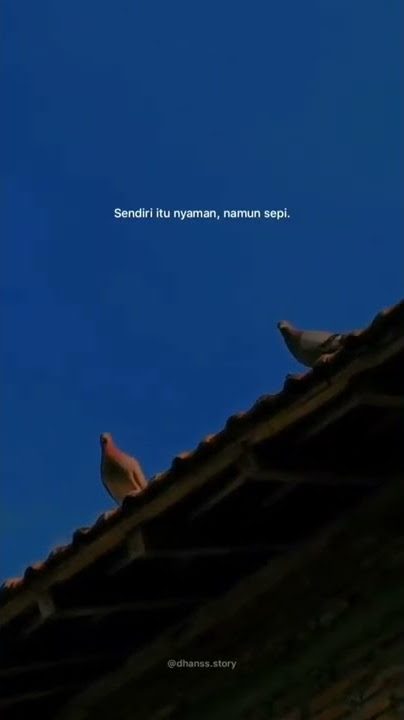Story Wa Sendiri Itu Nyaman Tapi Sepi #Shorts
