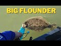 The Flounder Were Still Biting Despite The Dangerous Winds