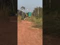 ALL- Eldorado Brasil 9560 em um pátio em Açailândia-ma