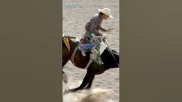 Bucking  bronc rodeo rider #shorts