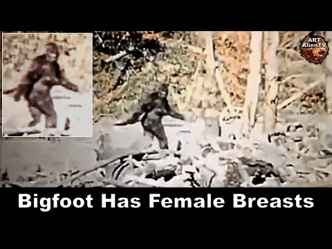 Bigfoot Has Female Breasts ! New Stabilised Footage - ArtAlienTV (4K)