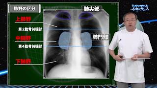 Dr.長尾の胸部X線ルネッサンス サンプル動画 - 臨床医学チャンネルCareNeTV