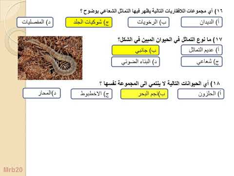 اي الحيوانات التالية لا ينتمي الى المجموعة نفسها