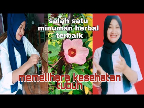 Video: Minuman Herbal 