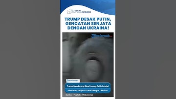Trump Mendorong Hentikan Perang, Putin Setujui Gencatan Senjata 30 Hari dengan Ukraina!