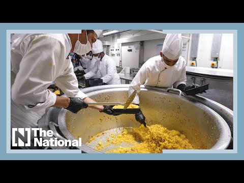 Watch: Abu Dhabi’s Sheikh Zayed Grand Mosque serves 30,000 iftar meals daily during Ramadan