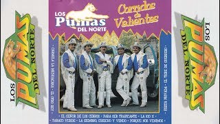 LOS PUMAS DEL NORTE - Fiesta Privada