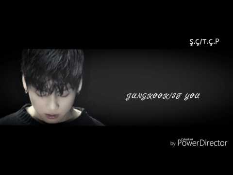 (BTS)JUNGKOOK/If You{Türkçe Çeviri}