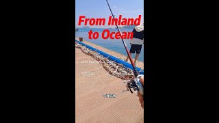 From Inland to Ocean: A Comical First Attempt at Beach Fishing!No Catch?  Market Fish Feast Ensues!