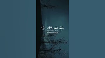 عبدالرحمن مسعد ✨ تلاوة راحة نفسية #fyp #explore #tiktok
