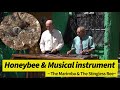 Honeybee &amp; Musical instrument  / The Marimba &amp; The Stingless Bee