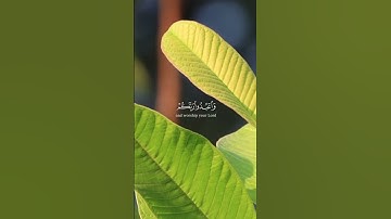 يا أيها الذين آمنوا اركعوا واسجدوا القارئ راشد الحليبة سورة الحج