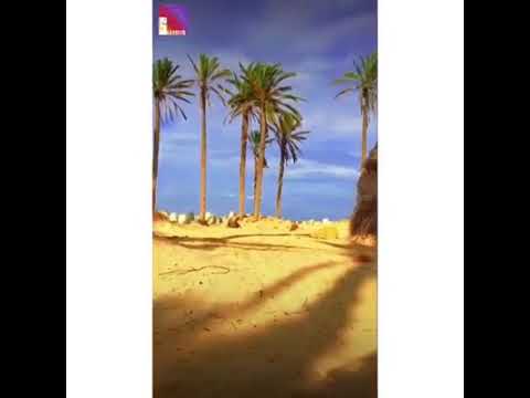 العريش والطبيعه