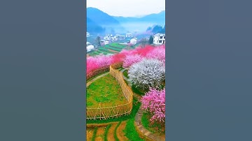 ##ايات_قرانيه_قصيره #قرآن #قرآن_كريم #اكسبلور آيات