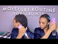 my moisturizing routine for wig braids | how to moisturize hair in cornrows (for long natural hair)