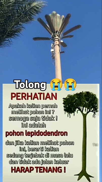 tiang listrikdodindaron true🗿 #memes #gabut #idk #lepidodendron #tianglistrik #sapulidi #pohon