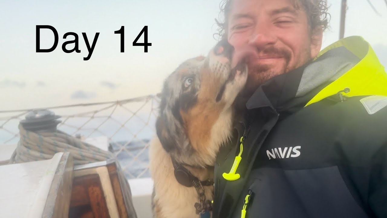 Solo NonStop Circumnavigation:day 14, More Issues