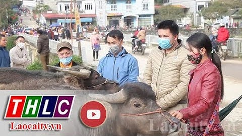 Chợ trâu - Nét độc đáo của người vùng cao Bắc Hà | THLC