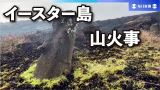 モアイ像に「取り返しのつかない被害」　イースター島、山火事で