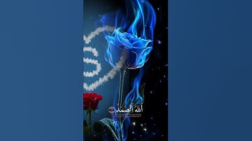 سورة إلاخلاص الشيخ سعد الغامدي