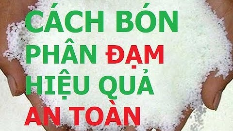 HƯỚNG DẪN DÙNG PHÂN ĐẠM HIỆU QUẢ VÀ AN TOÀN