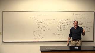 Inflammation and Immunity pt 2 | Nursing | Pathophysiology Pharmacology 1