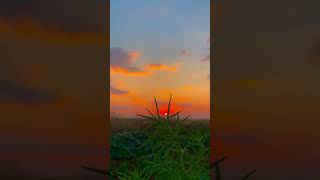 Whatsapp Kürtçe Durum Videoları