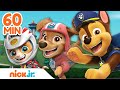 PAW Patrol Pups Unite for Rescues! w/ Chase, Cat Pack & Tracker | 1 Hour Compilation | Nick Jr.