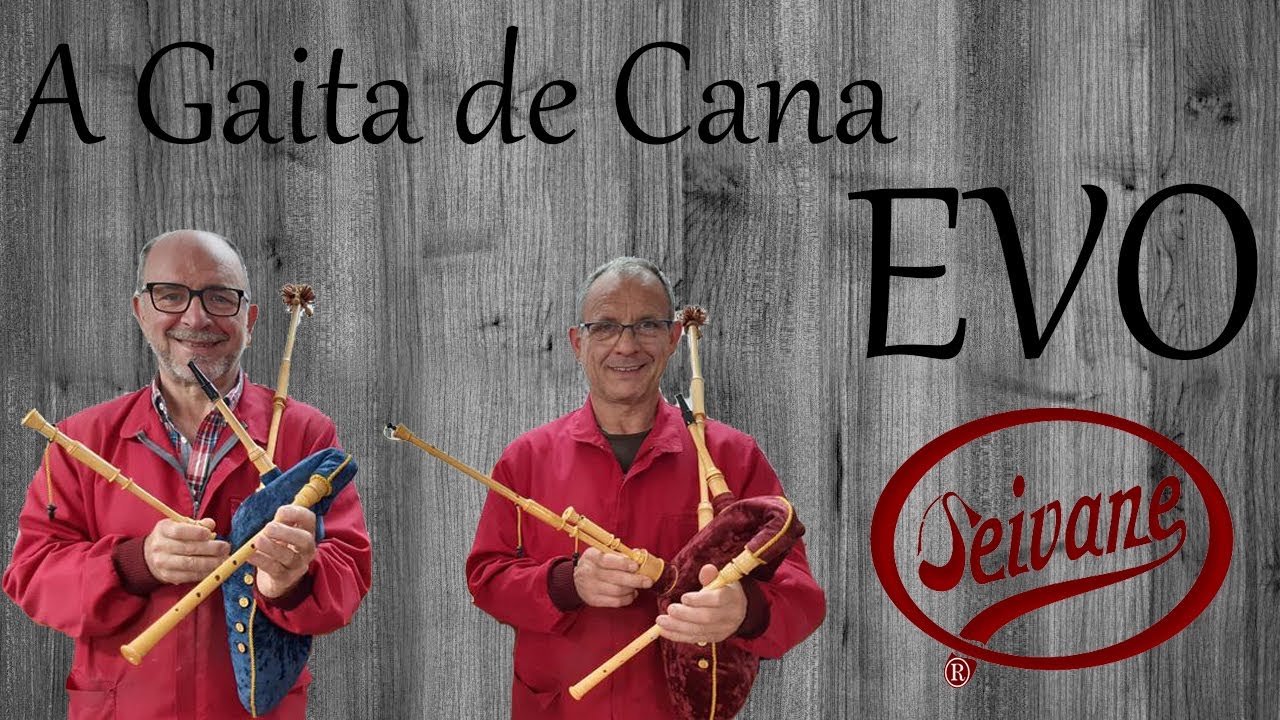 🎺A GAITA de CANA EVO🎷