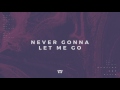 Tauren Wells - Never Gonna Let Me Go (Official Audio)