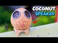 I turn coconut shell into bluetooth speakerhow to make coconut bluetooth speaker at home