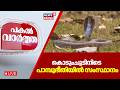 Pakal Vartha | കൊടുംചൂടിനിടെ  പാമ്പുഭീതിയിൽ സംസ്ഥാനം | Snake Bite Kerala | Kerala Heat Wave