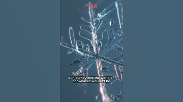 The Artistry of Unique Snowflake Patterns #snowflakes #short #shorts #shortvideo #viral #foryou