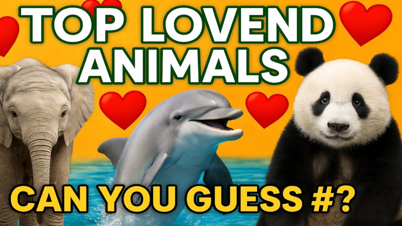 Which animal do People Love More? | 30 Animal Battles