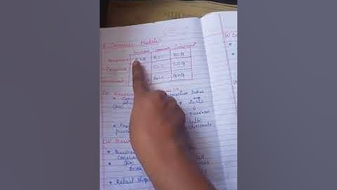 12th Comp App Chapter 15 E commerce (Video 1)