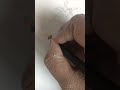 For more Shorts and videos please subscribe our YouTube channel