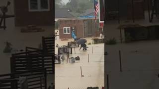 Download Lagu Apa agaknya yang ada kat situ 😣 #shorts #2024 #pov #flood #hurt  #banjirmalaysia #sad #student #rain MP3