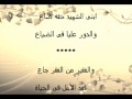 اغنيه ابن الشهيد للشاعر احمد سليمان