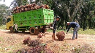MEETING THE BIG BOSS‼️Trying to lift this huge fruit had some weird results #part_43