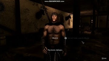 Modded Skyrim SE - Skavild makes a Speech (with help from SKVA Synth and Audacity)